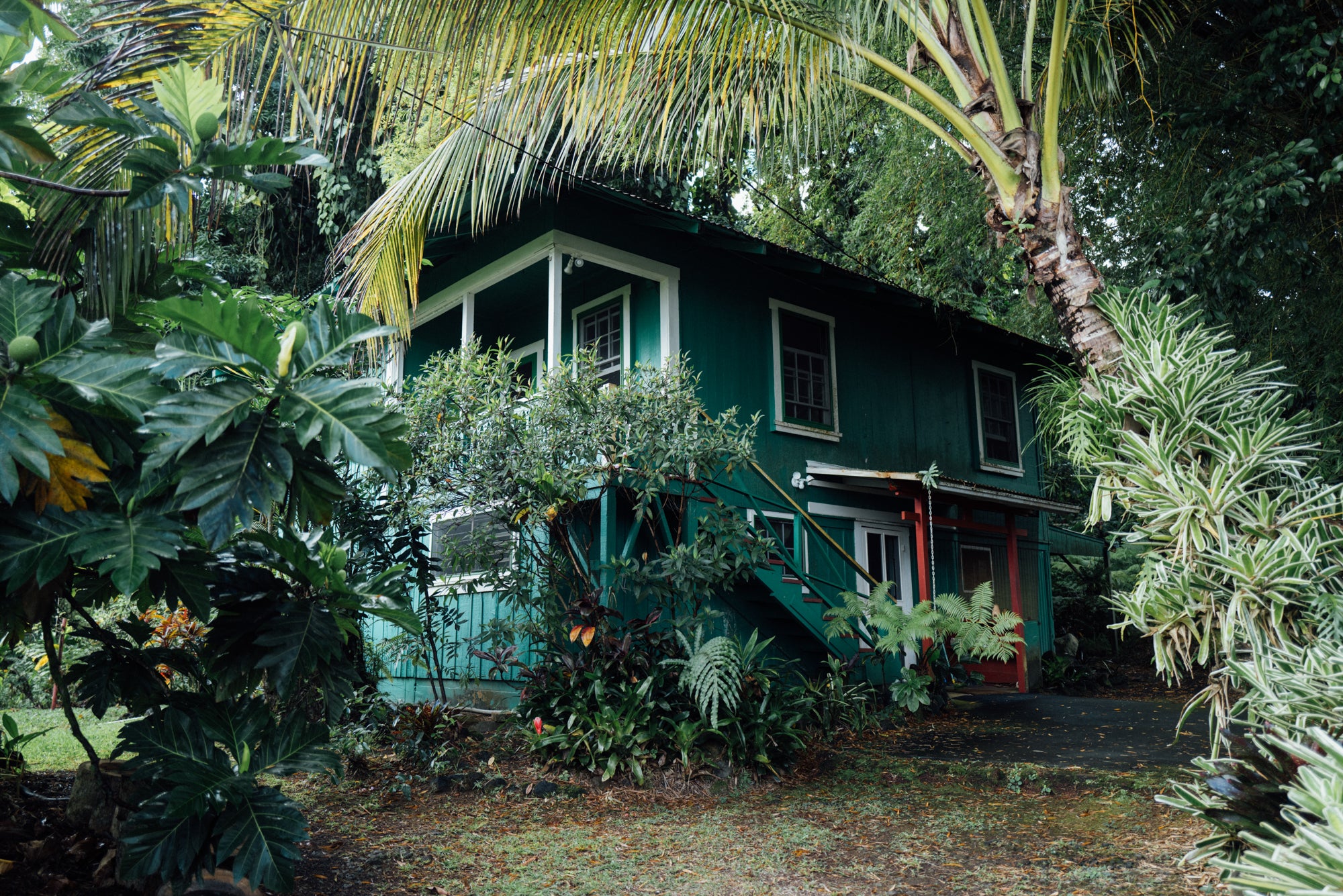 B&B I stayed / Hakalau, Big Island, Hawaii