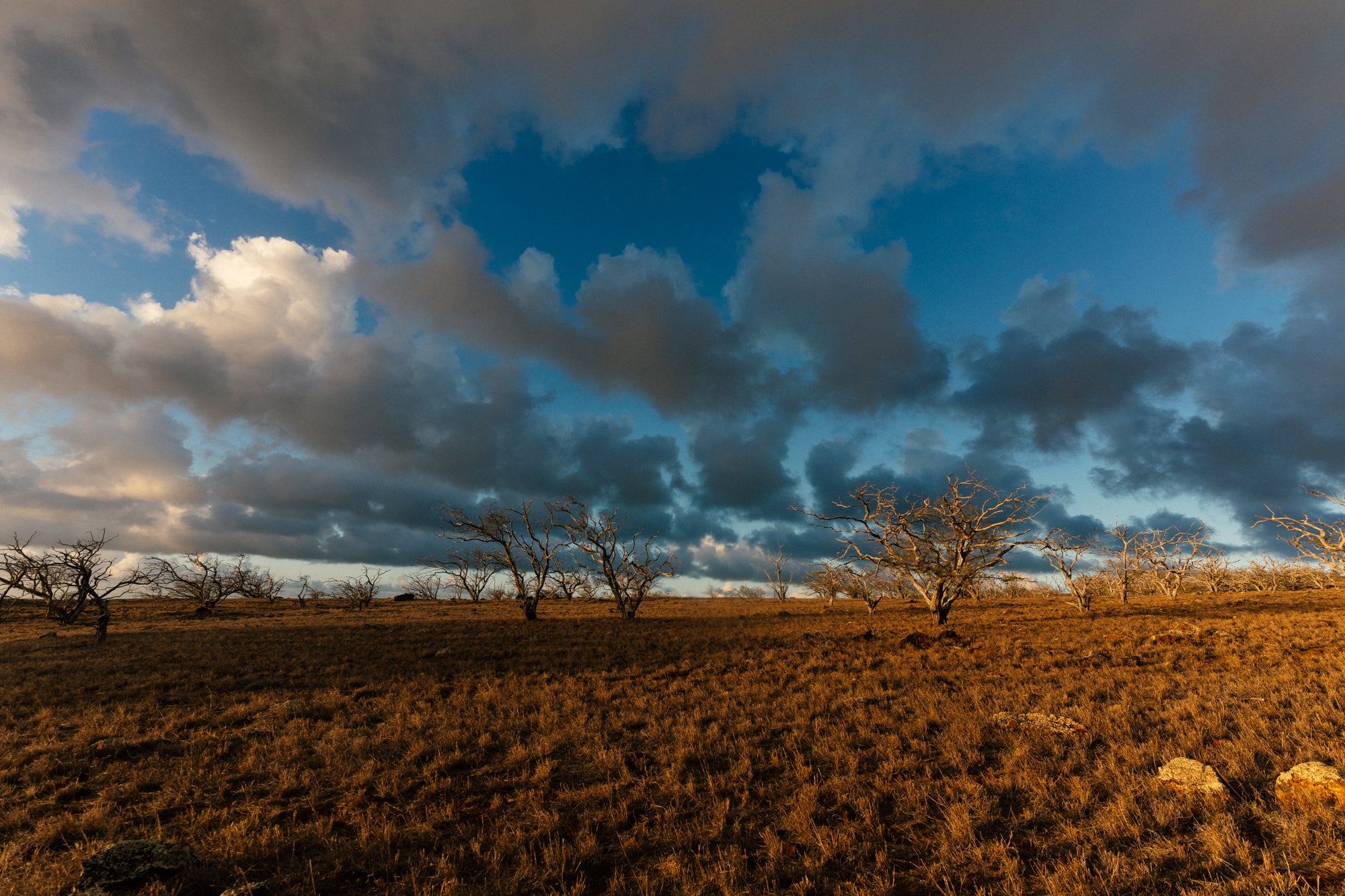 The Hawaiian Sky / Hawi, Big Island, Hawaii