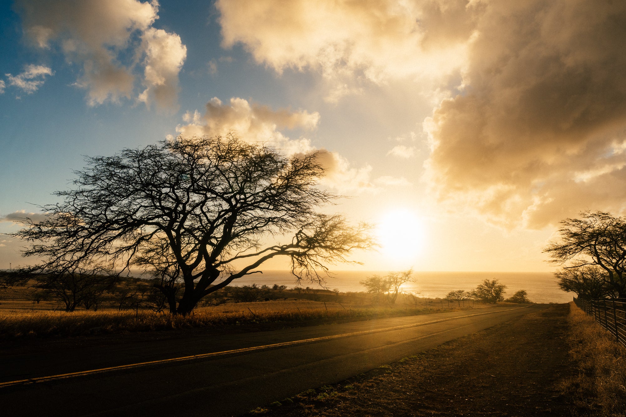 Down the road of Aina - Side Way / Hawi, Big Island, Hawaii