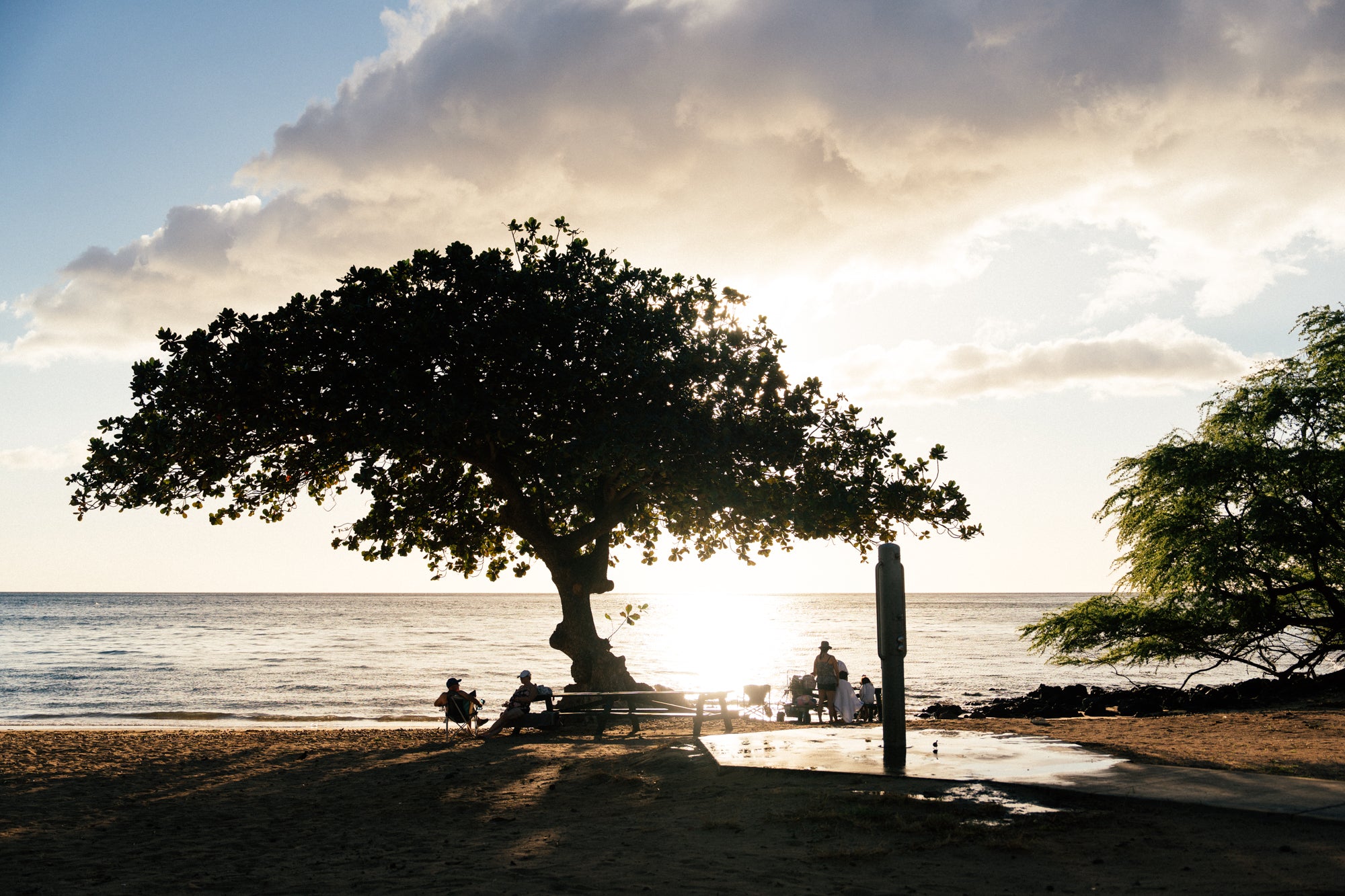 Find your little sunshine / Spencer Beach Park, Big Island, Hawaii