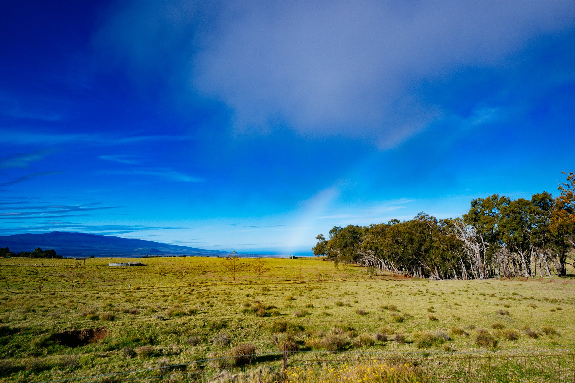 South Kohala Sunny Day / Big Island, Hawaii