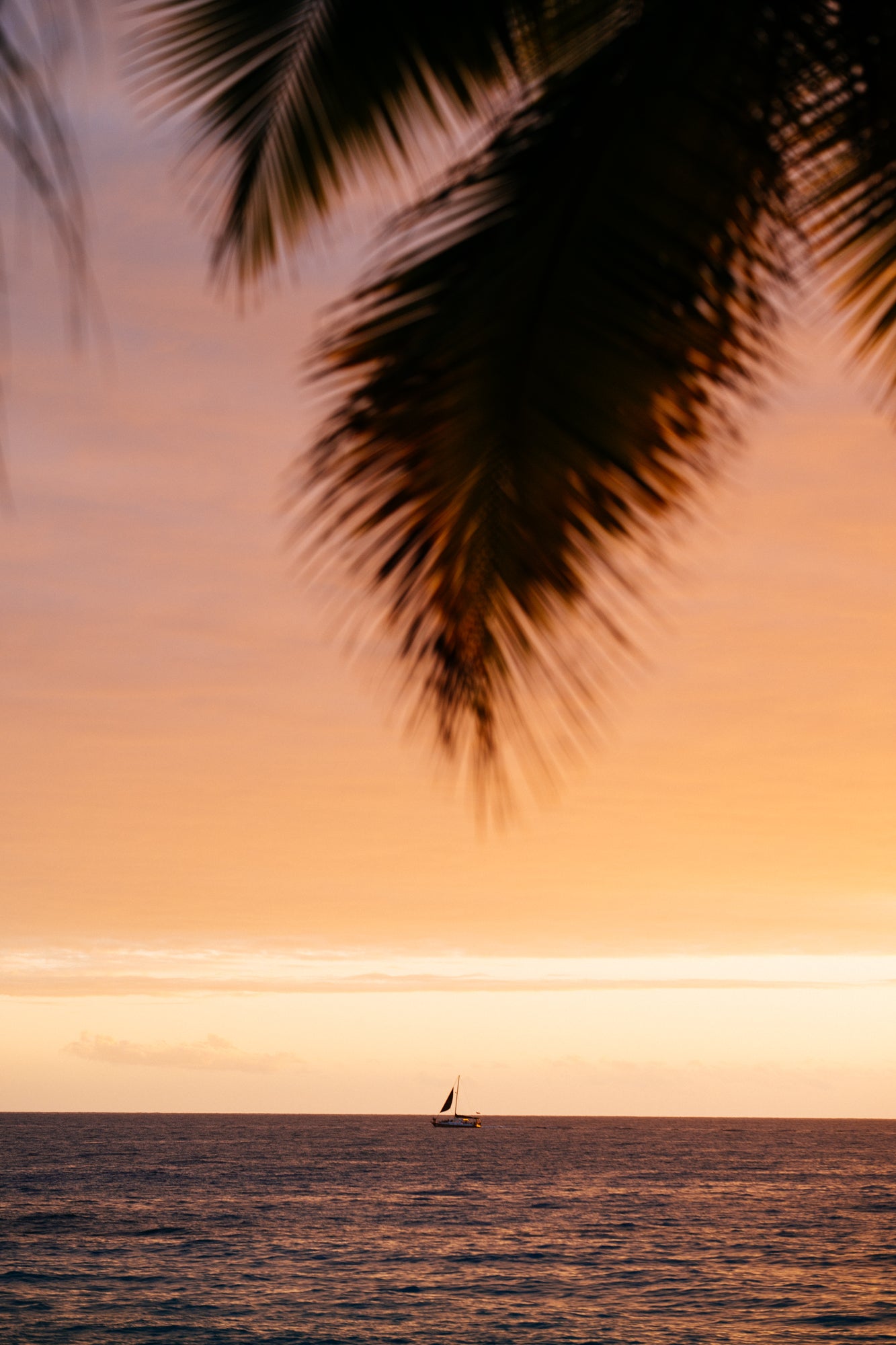 Sunset Sailer / Big Island,  Hawaii
