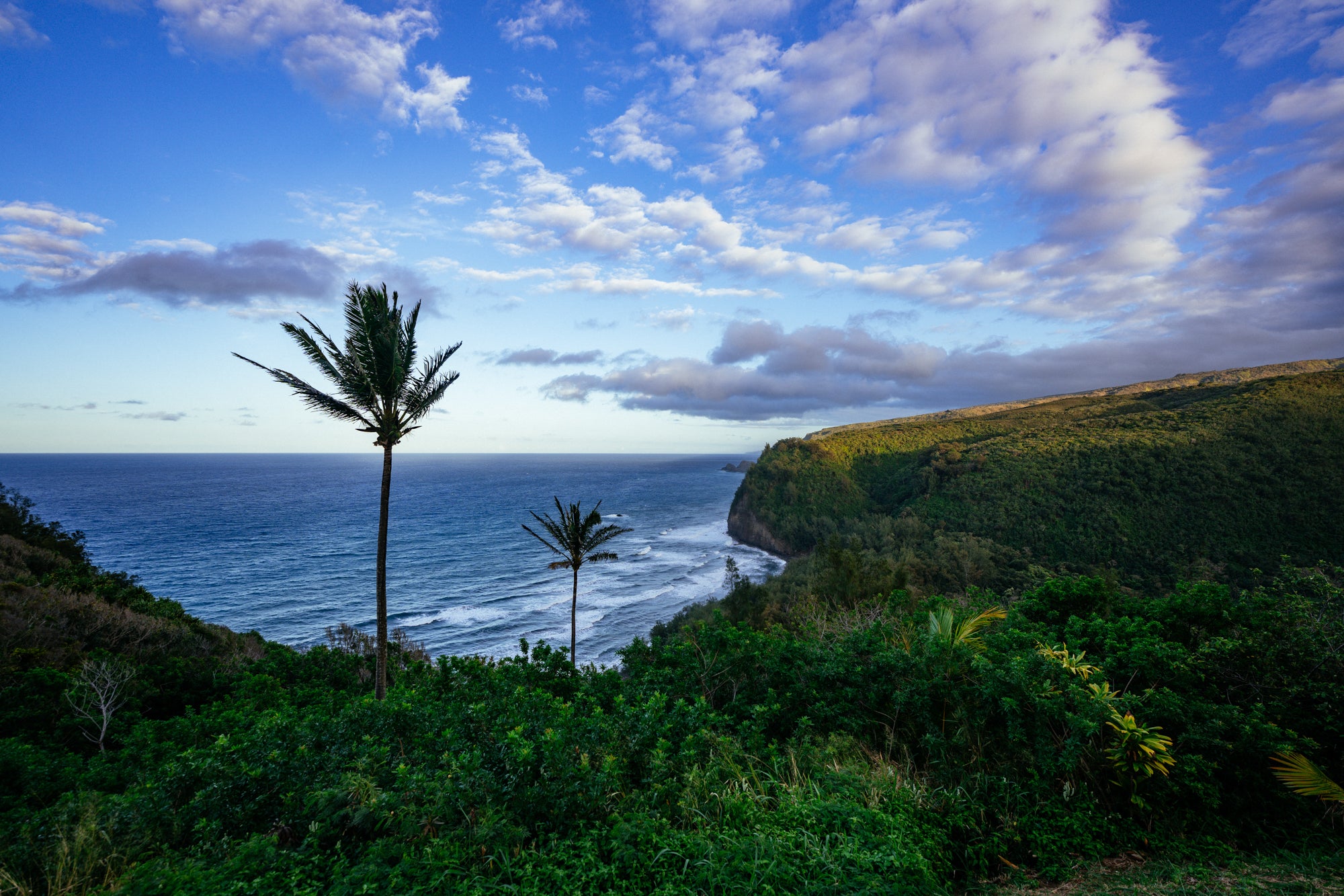 Pololu Valley / Big Island, Hawaii