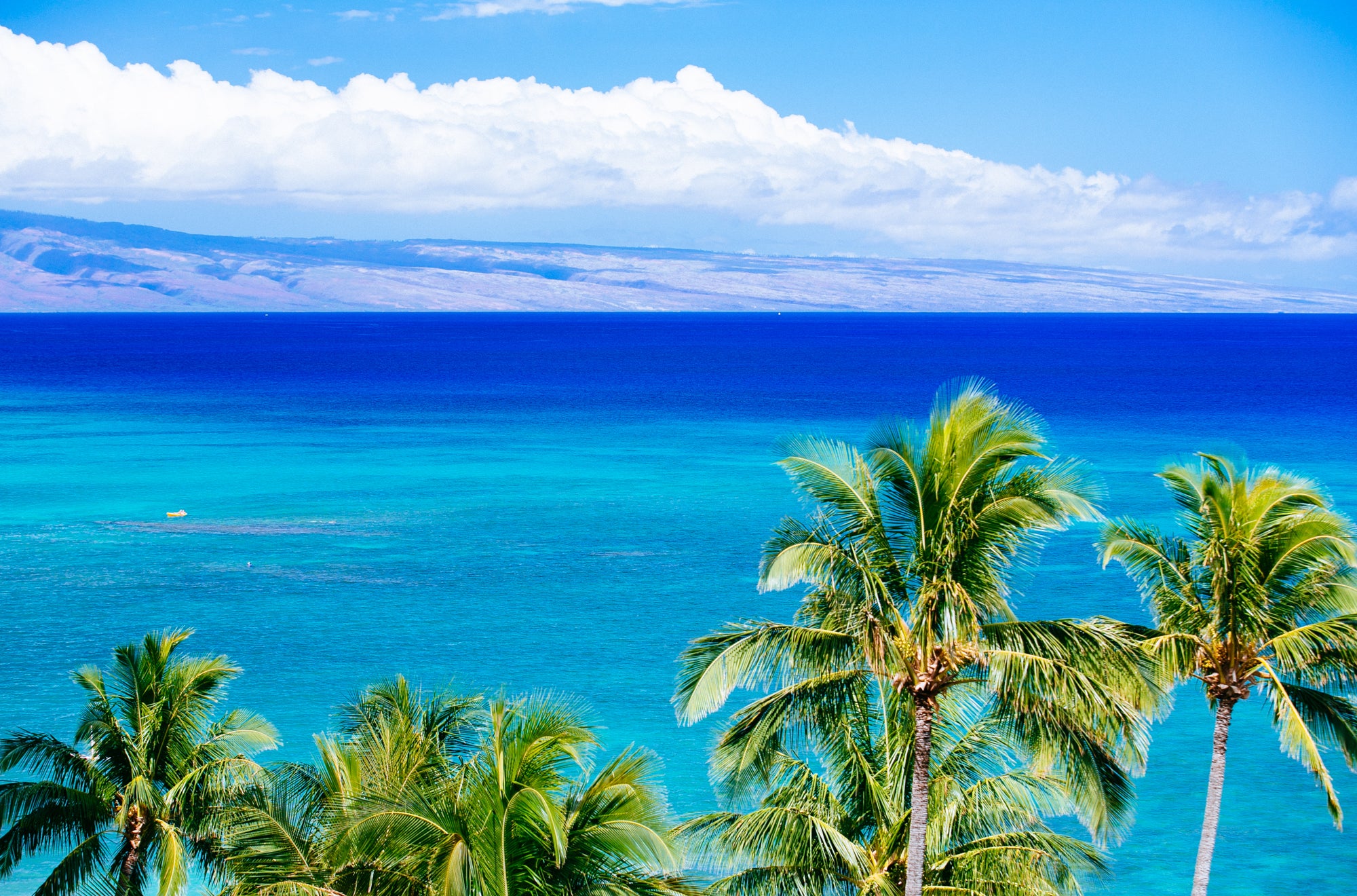 Kaanapali Blue / Maui Island, Hawaii