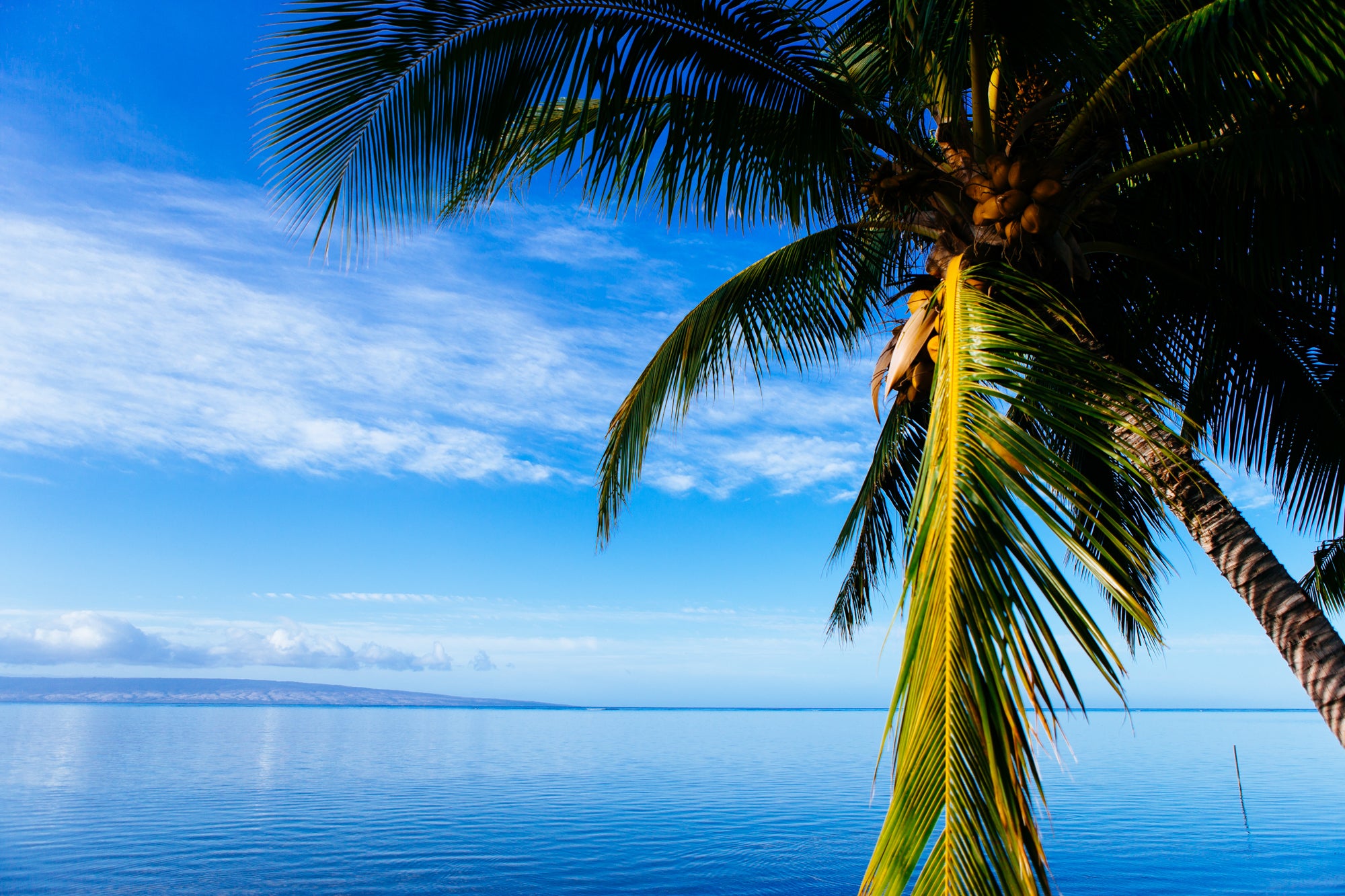 Molokai Blue / Molokai Island, Hawaii