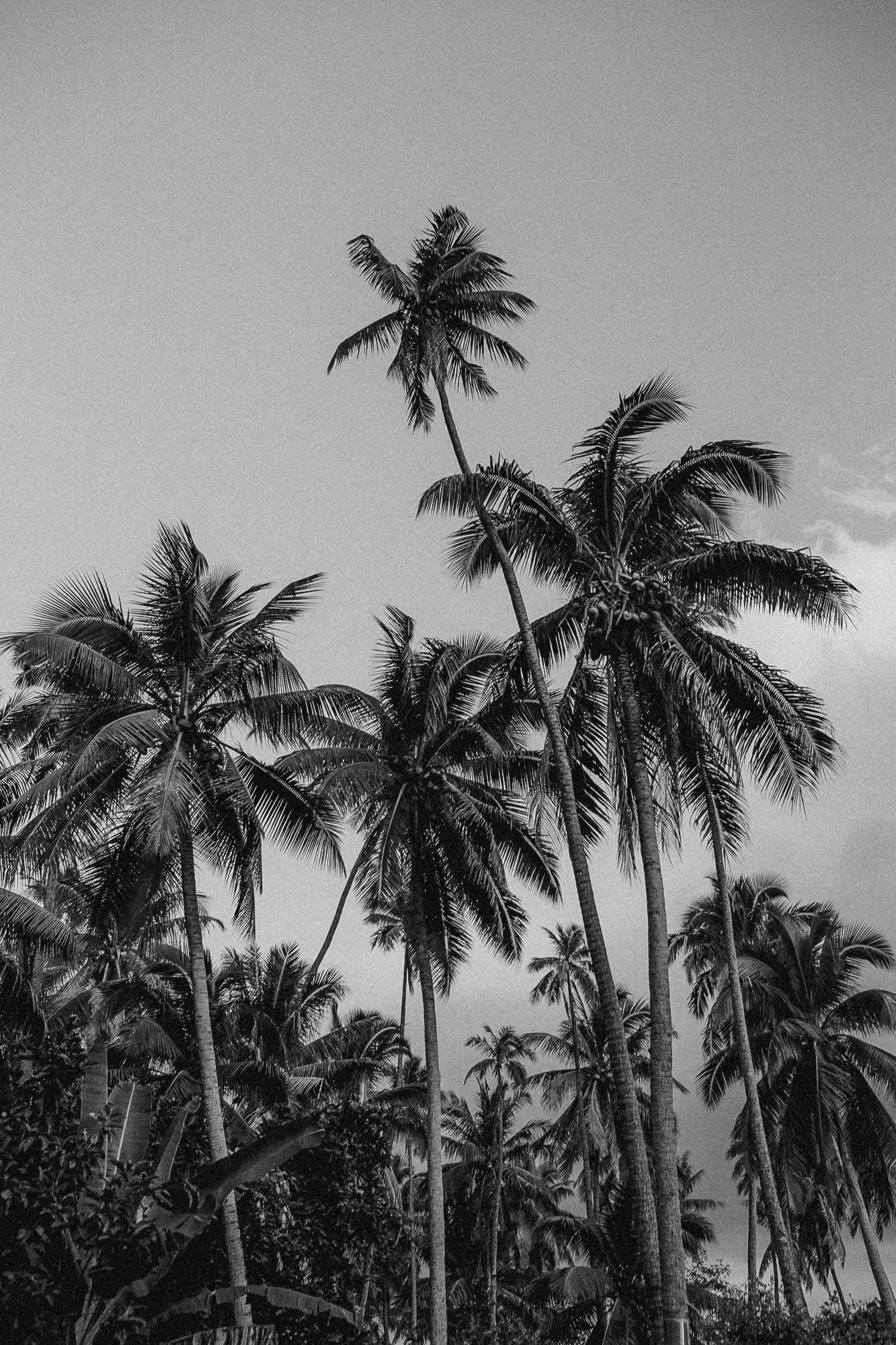 TAHITI