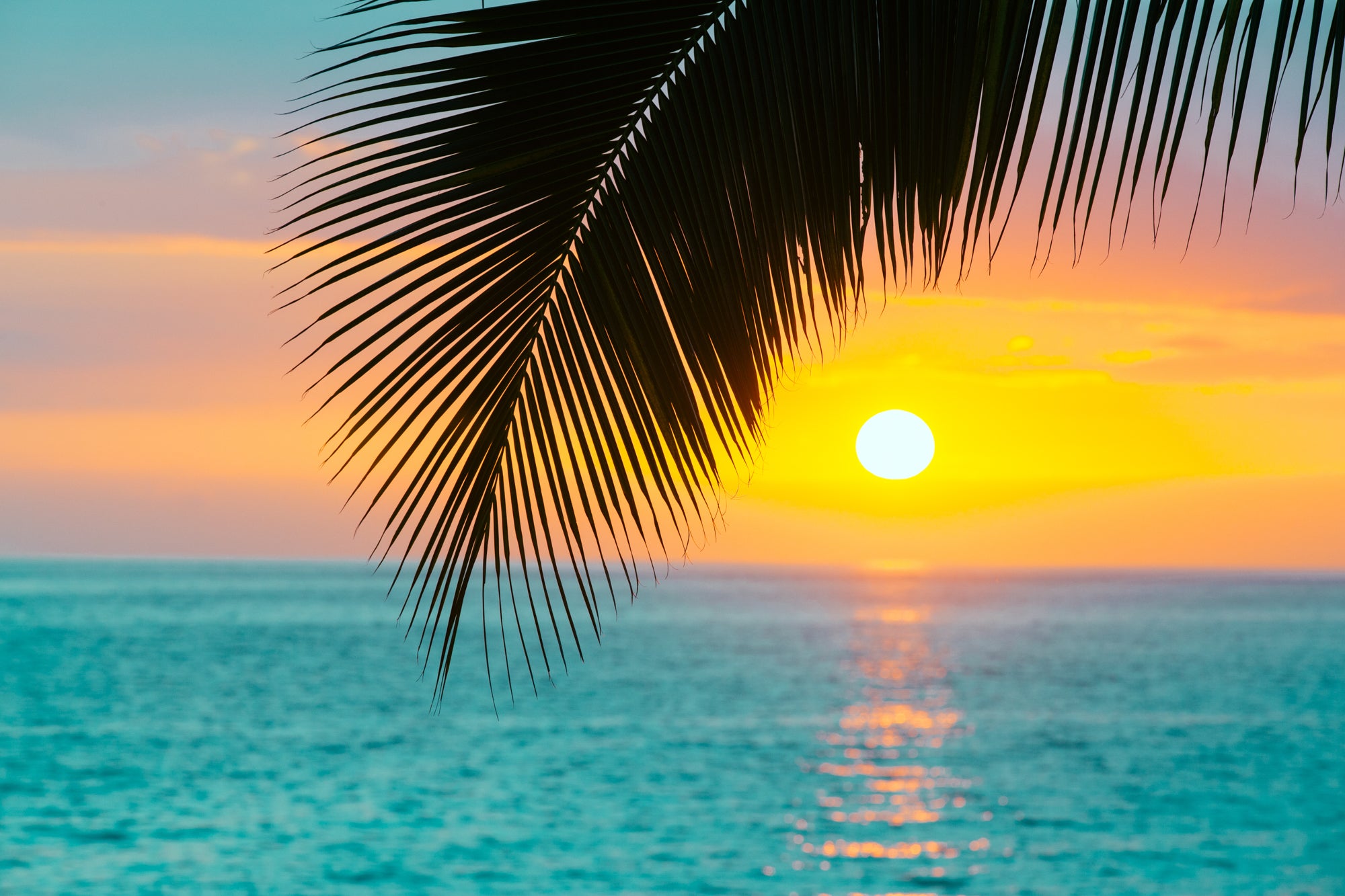Kona Sunset / Big Island, Hawaii