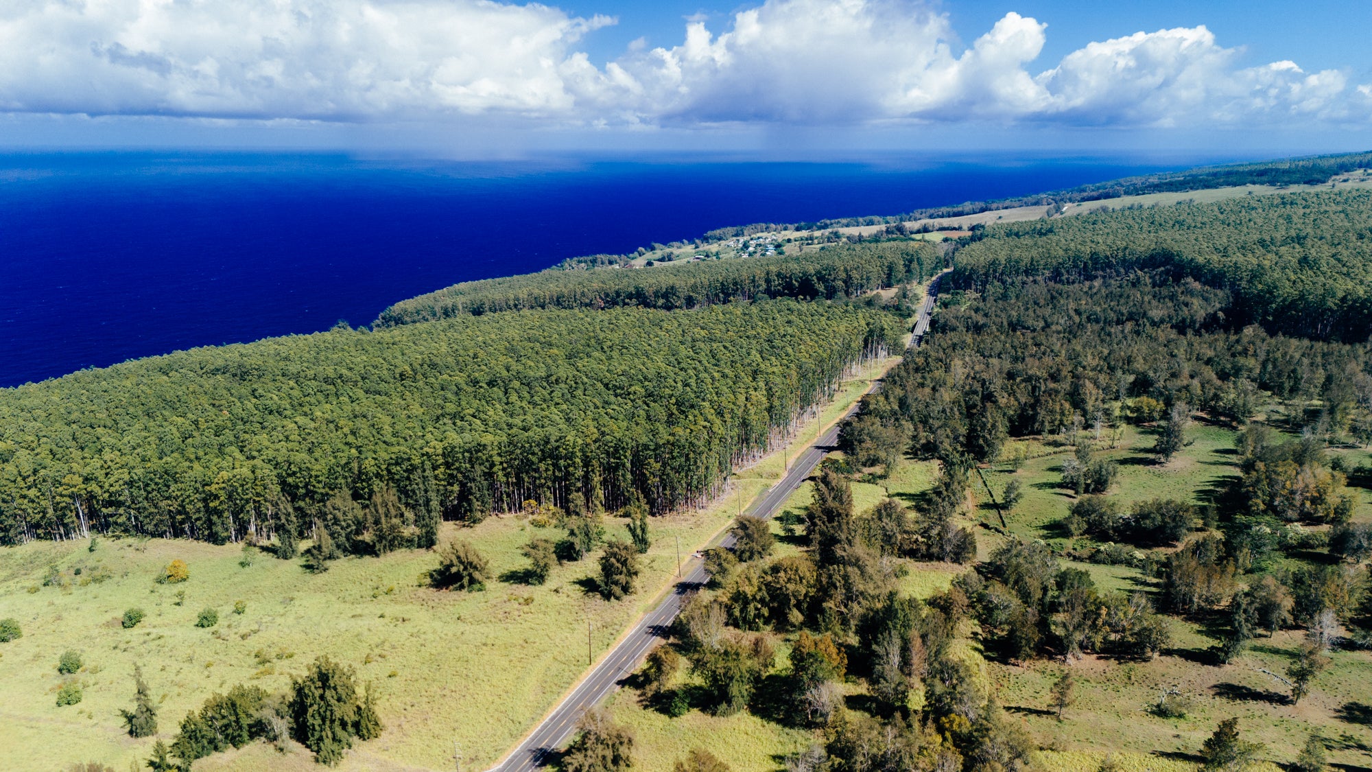 Papa'Aloa / Big Island, Hawaii