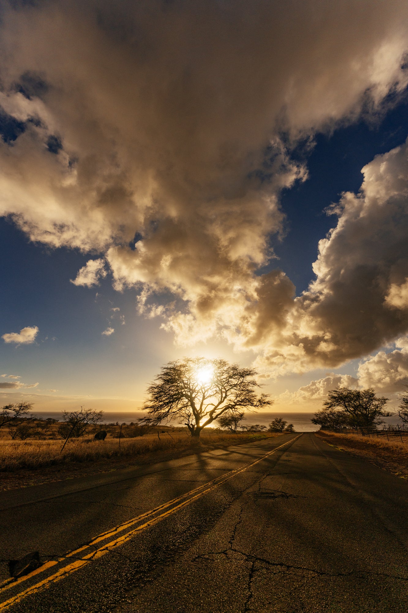 Down the road of Aina - Vertical / Hawi, Big Island, Hawaii