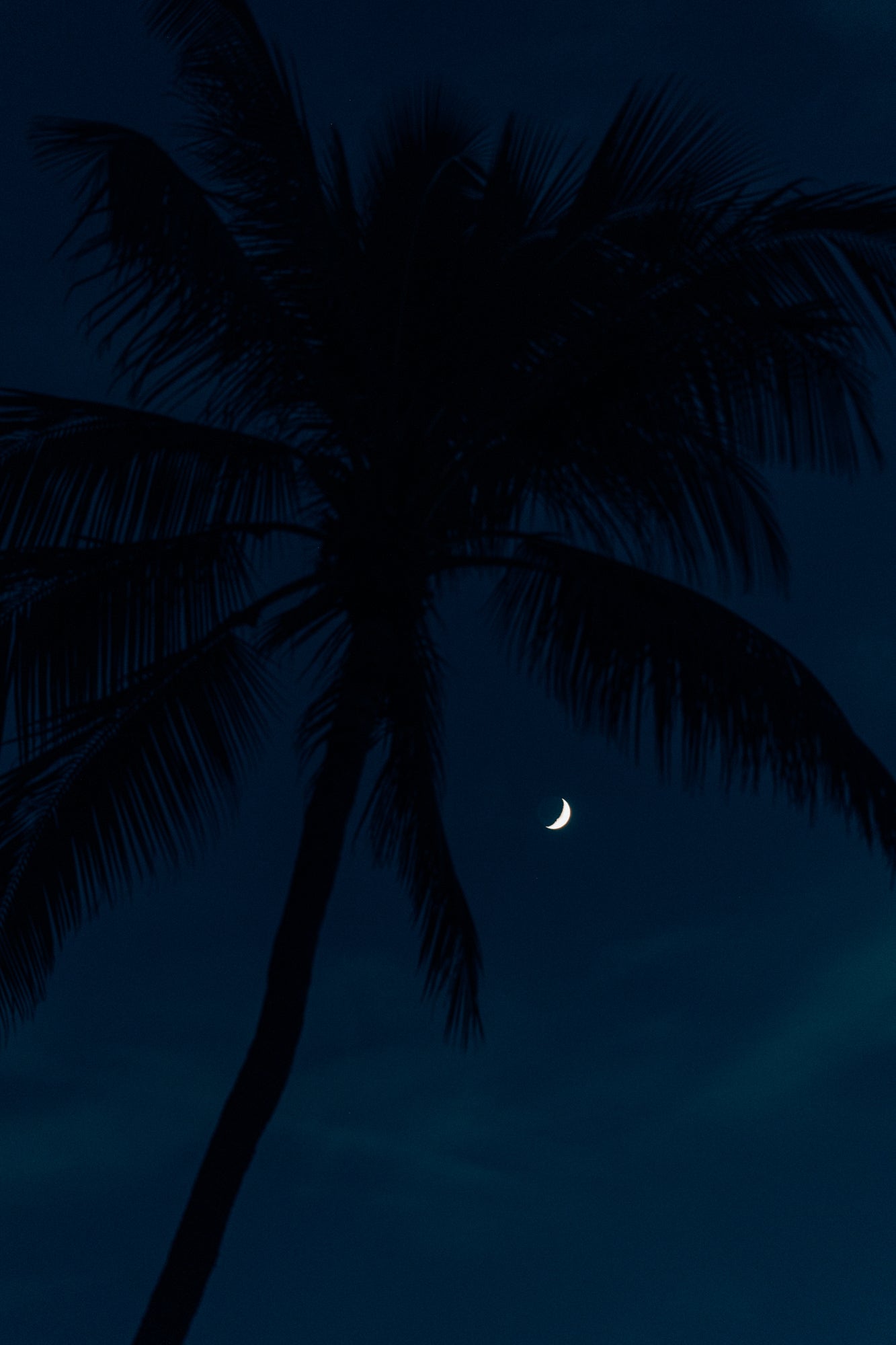 Moon Shine / Hapuna Bay, Big Island, Hawaii