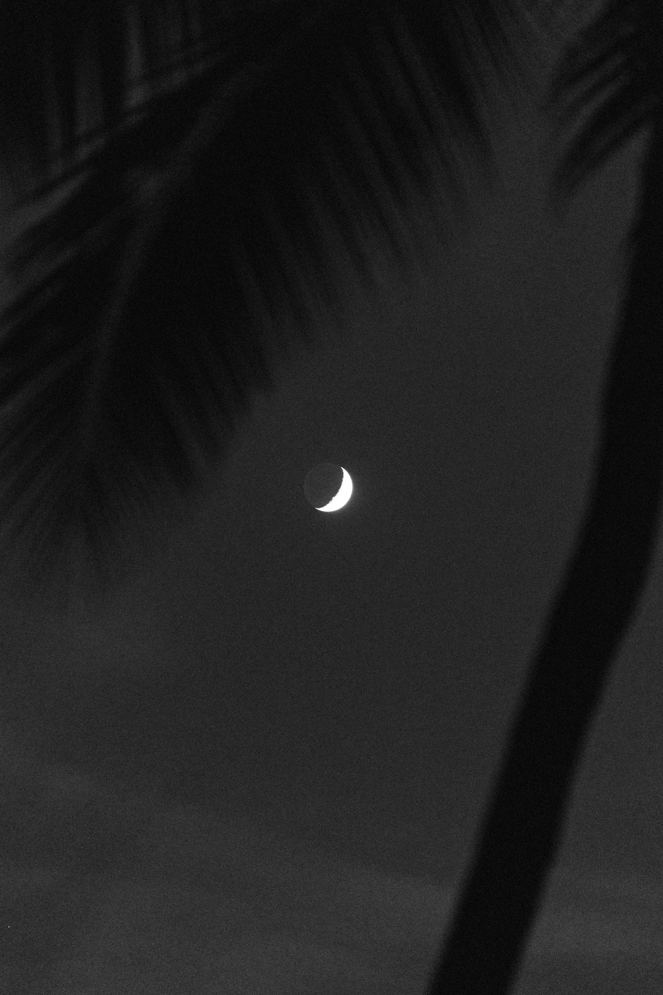 In between Dusk & Moonrise 2 / Hapuna Beach, Big Island, Hawaii