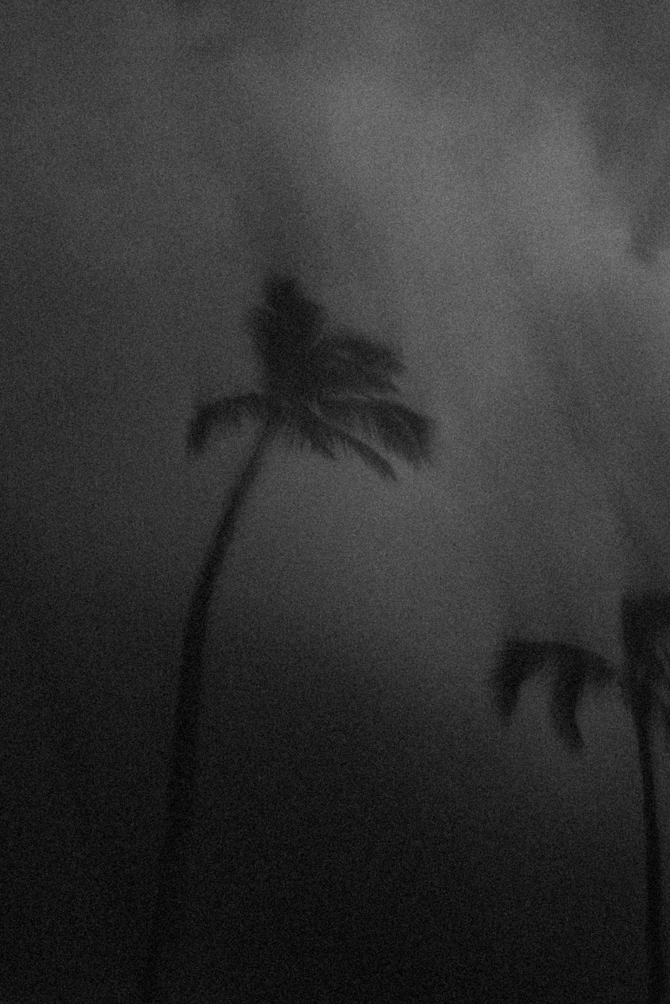 In between Dusk & Moonrise / Hapuna Beach, Big Island, Hawaii