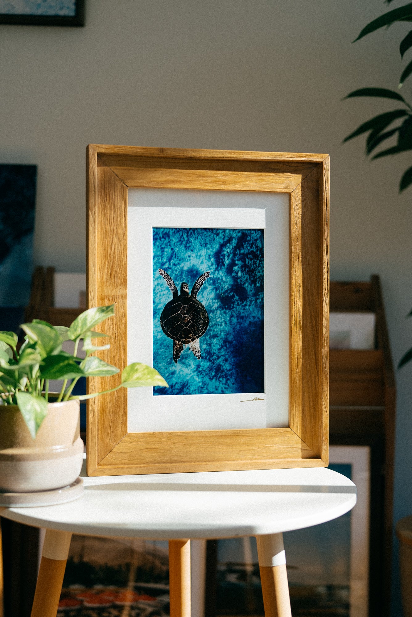 【Ready Stock Art 】Flying Honu / A3マットプリント + noosaチークウッドフレーム