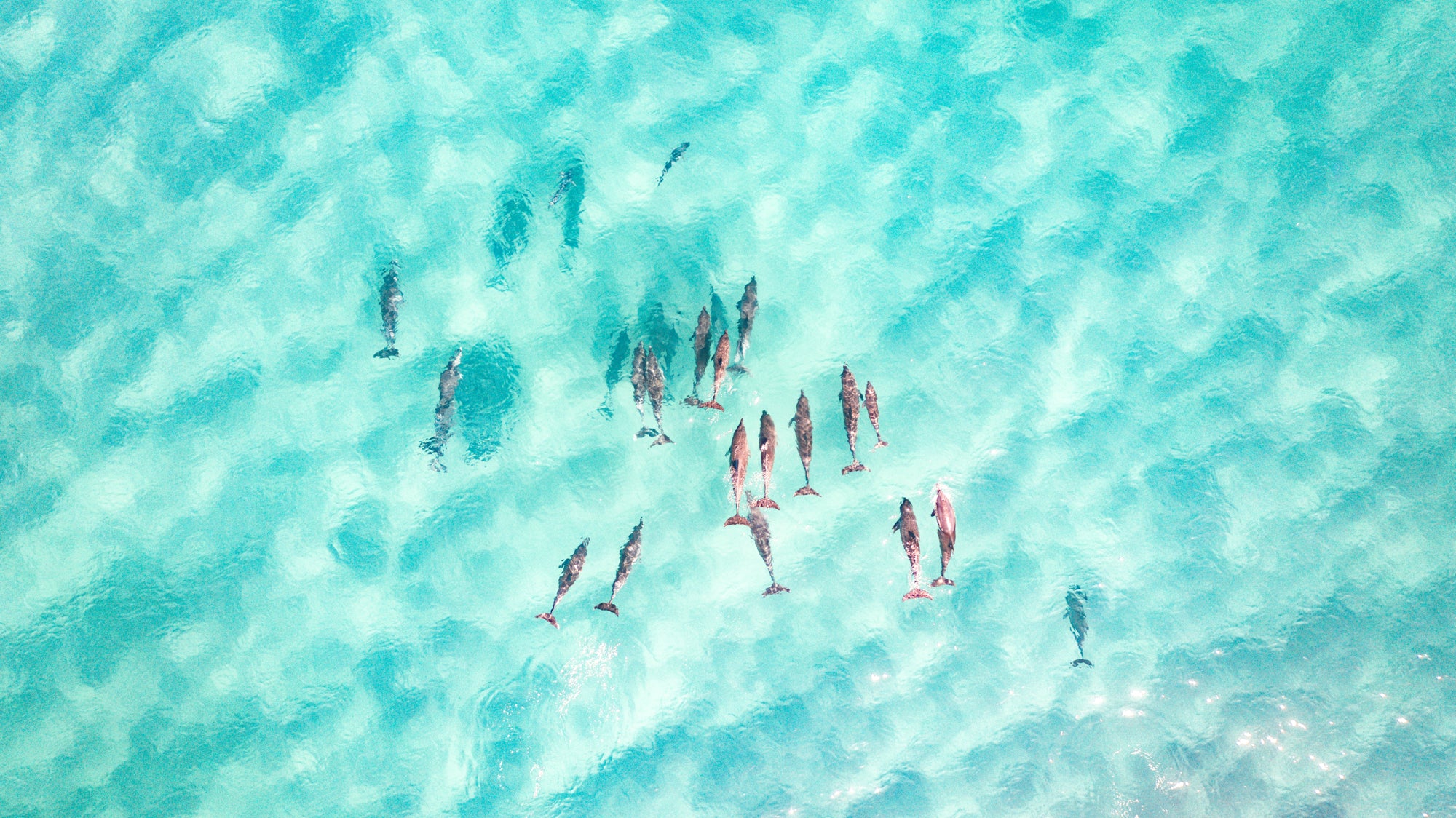 Byron Residents / Australia