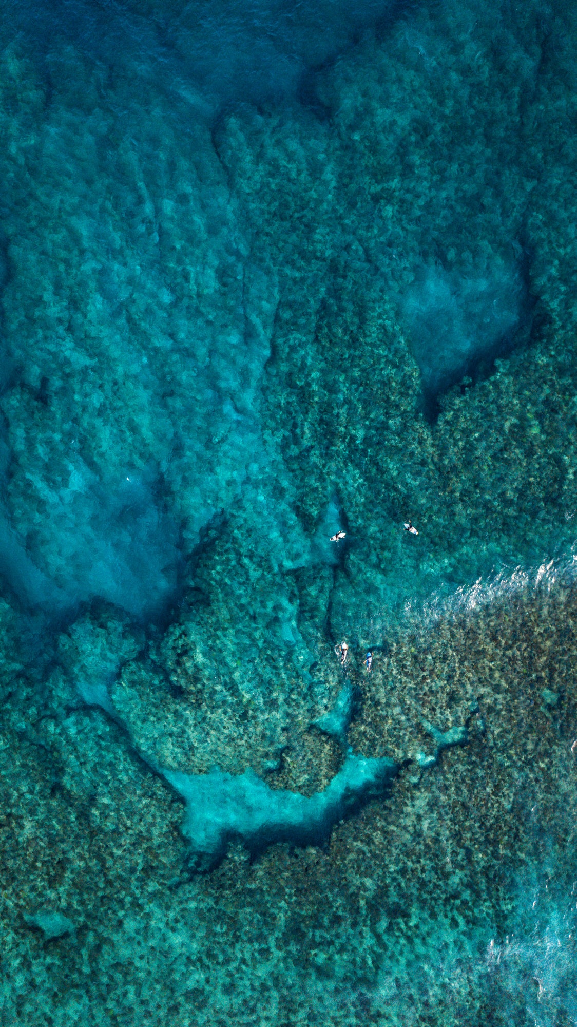 Tropcail Surf Day / Okinawa