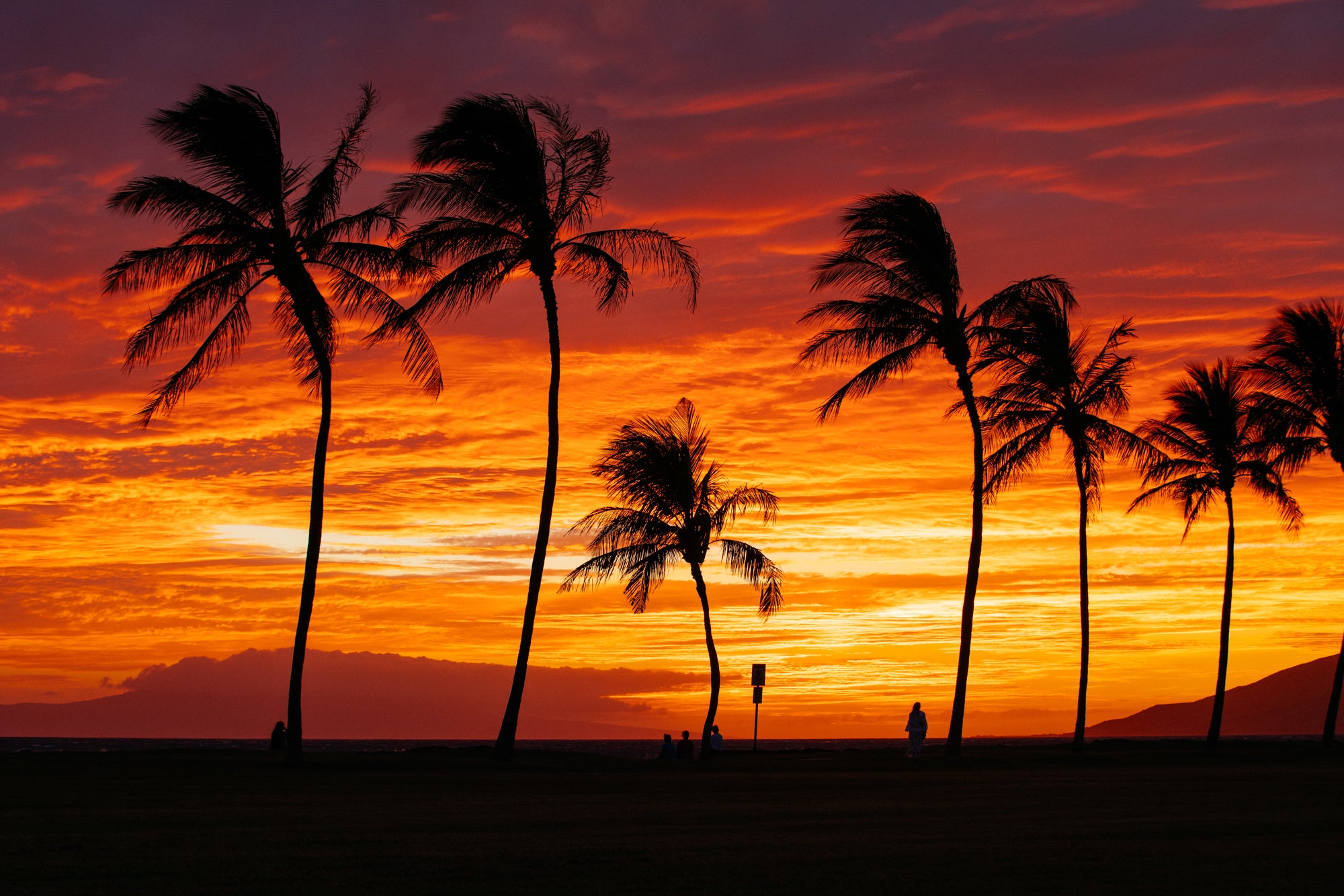 Maui On Fire / Maui, Hawaii