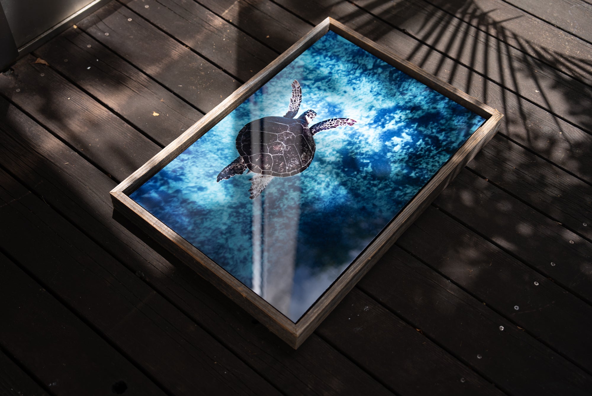 【Ready Stock Art 】Flying Honu / Big Island, Hawaii 16 x 24インチ フレーム付き