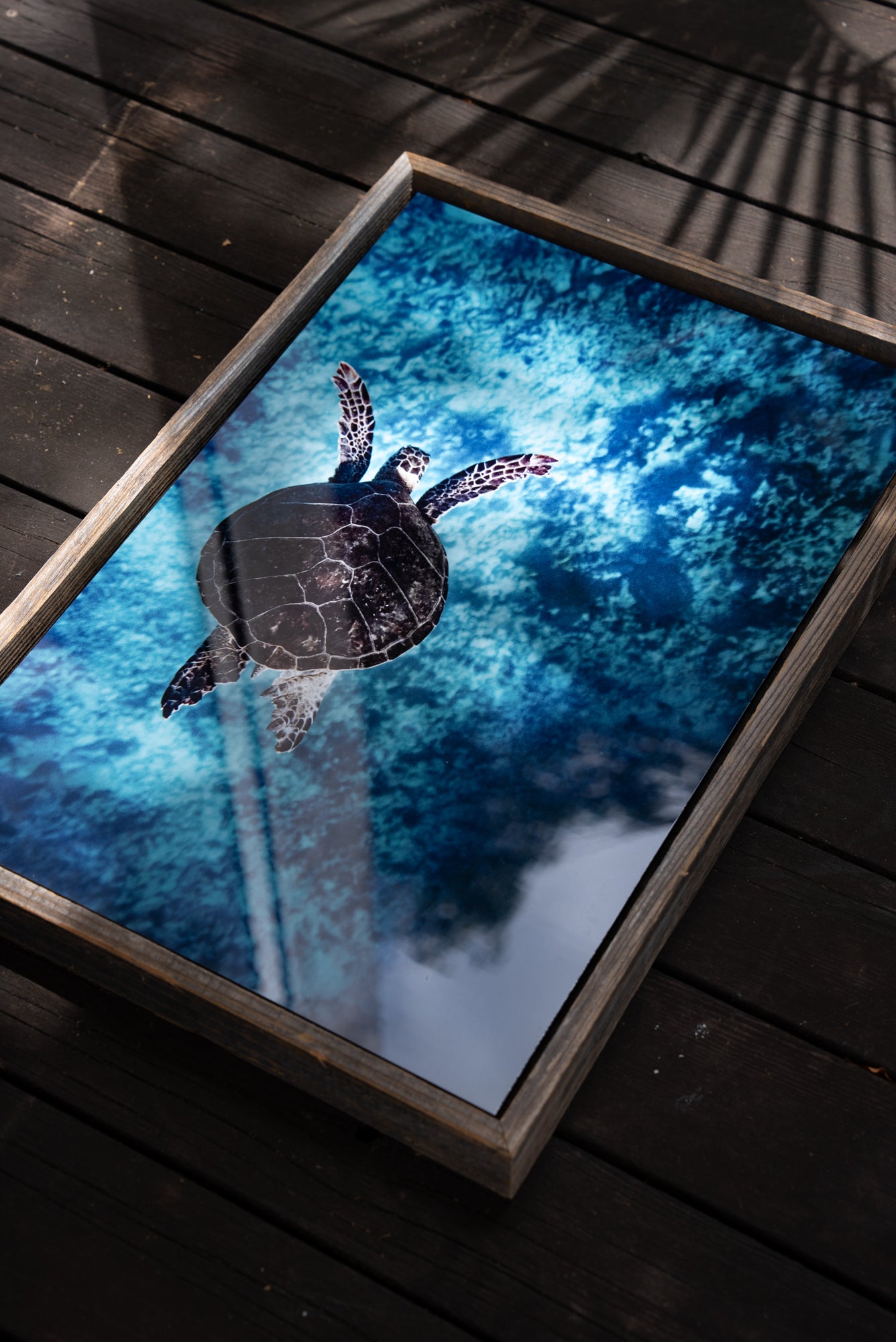 【Ready Stock Art 】Flying Honu / Big Island, Hawaii 16 x 24インチ フレーム付き