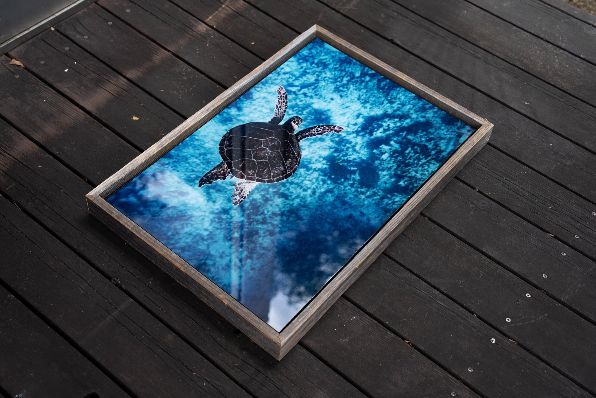 【Ready Stock Art 】Flying Honu / Big Island, Hawaii 16 x 24インチ フレーム付き