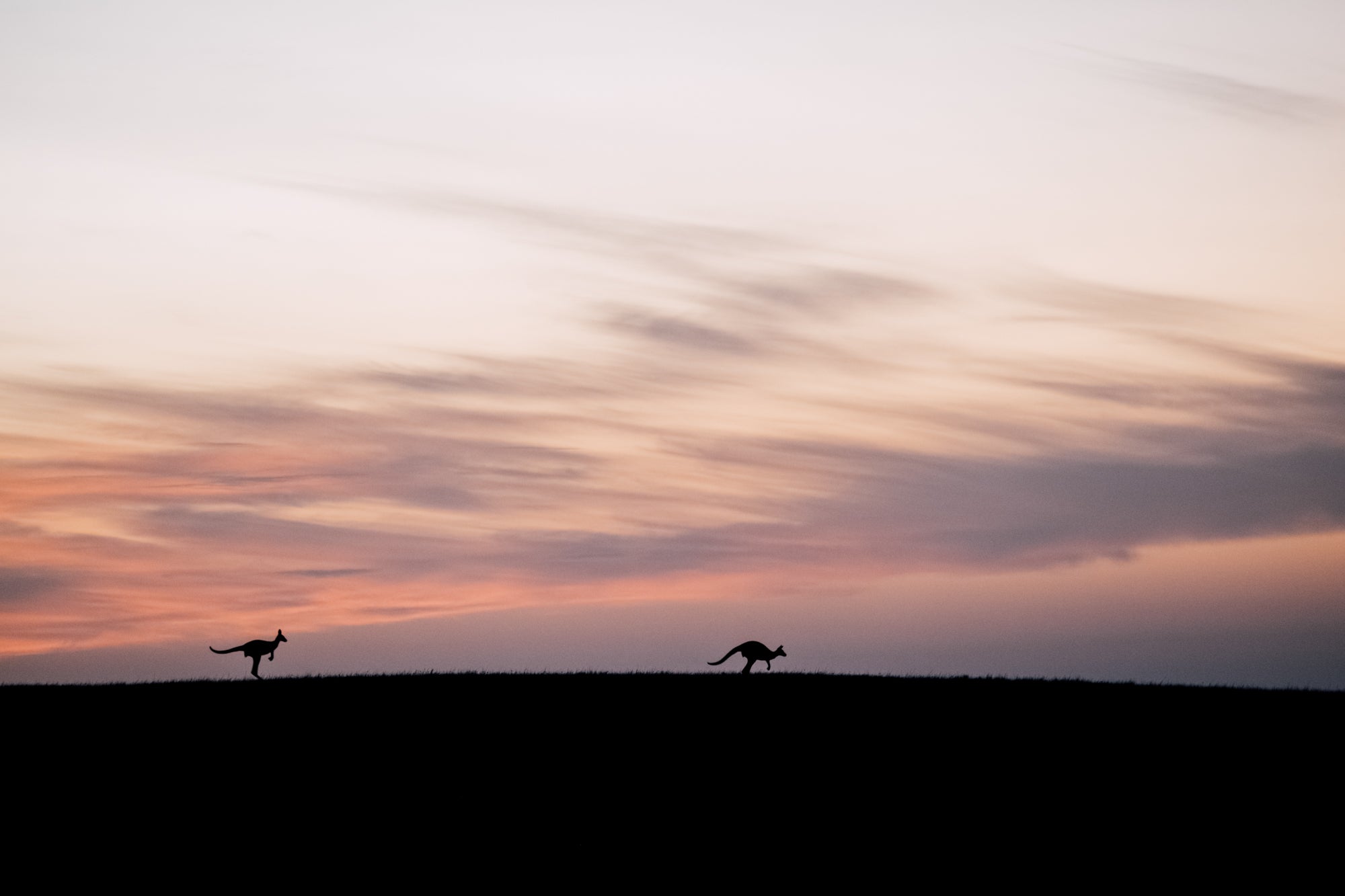 Esperance Horizon / Australia
