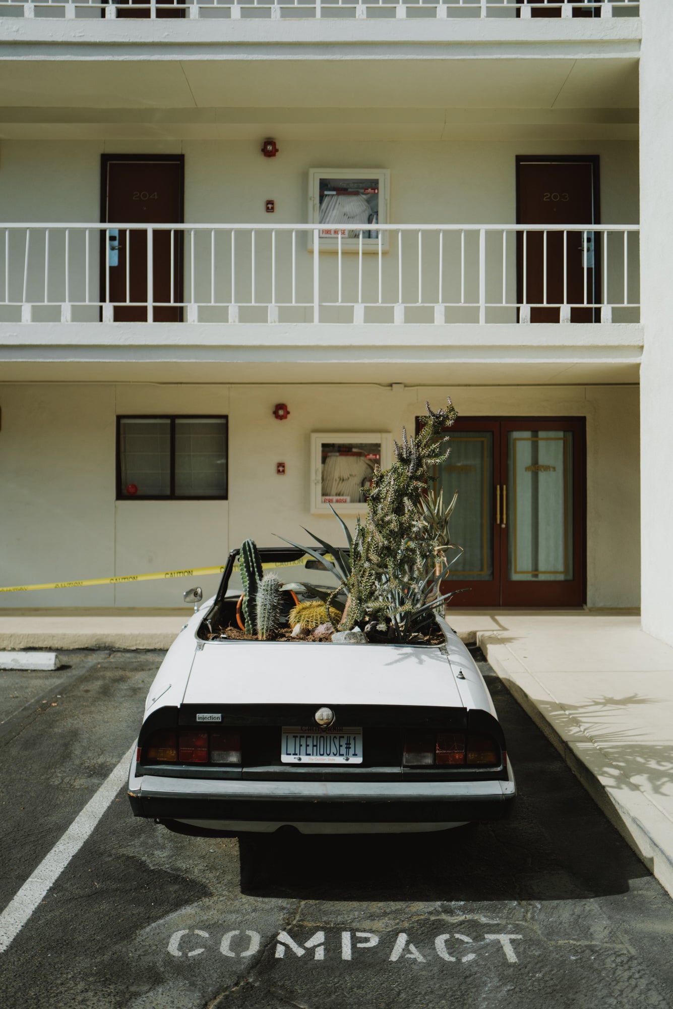 Plants Life / California